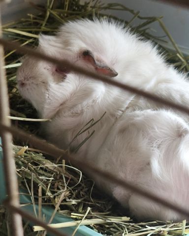 Cute other named brr
