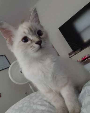 Cute Unknownnn named Salt