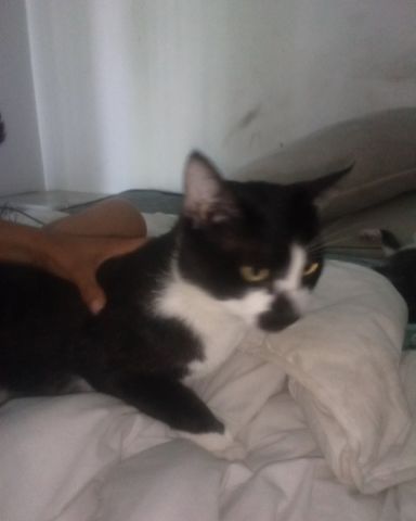 Cute Microsoft named daisy