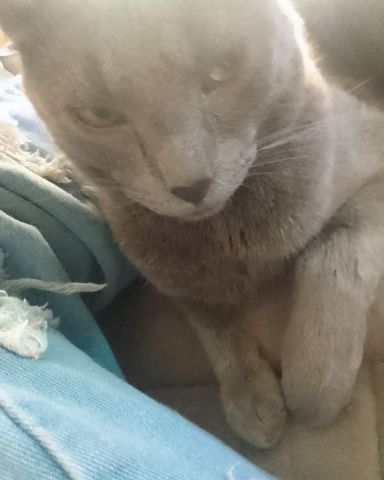 Cute Unknown, but he is large named Luca
