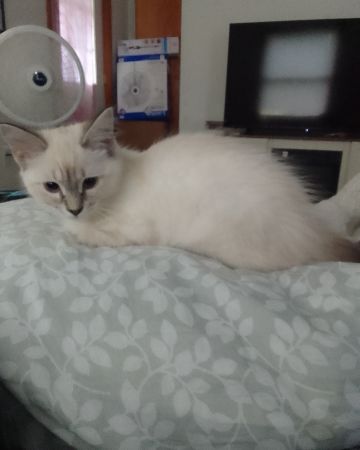 Cute Unknownnn named Salt