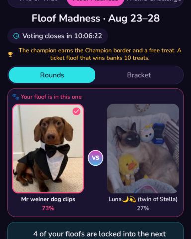 Cute wiener dog named Mr weiner dog clips