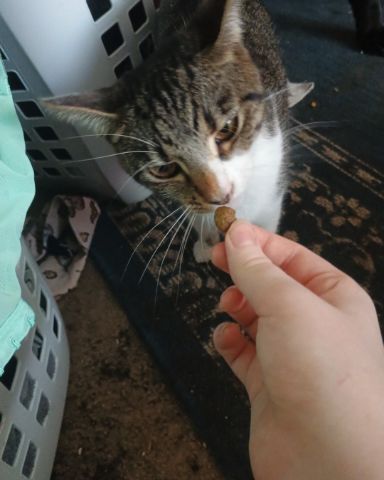 Cute ??? named Athena