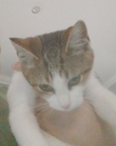 Cute Unknow named Sammy