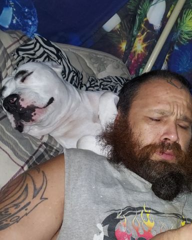 Cute pittys named pup&kaos