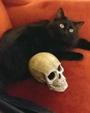 Cute Unsure named Sylvester